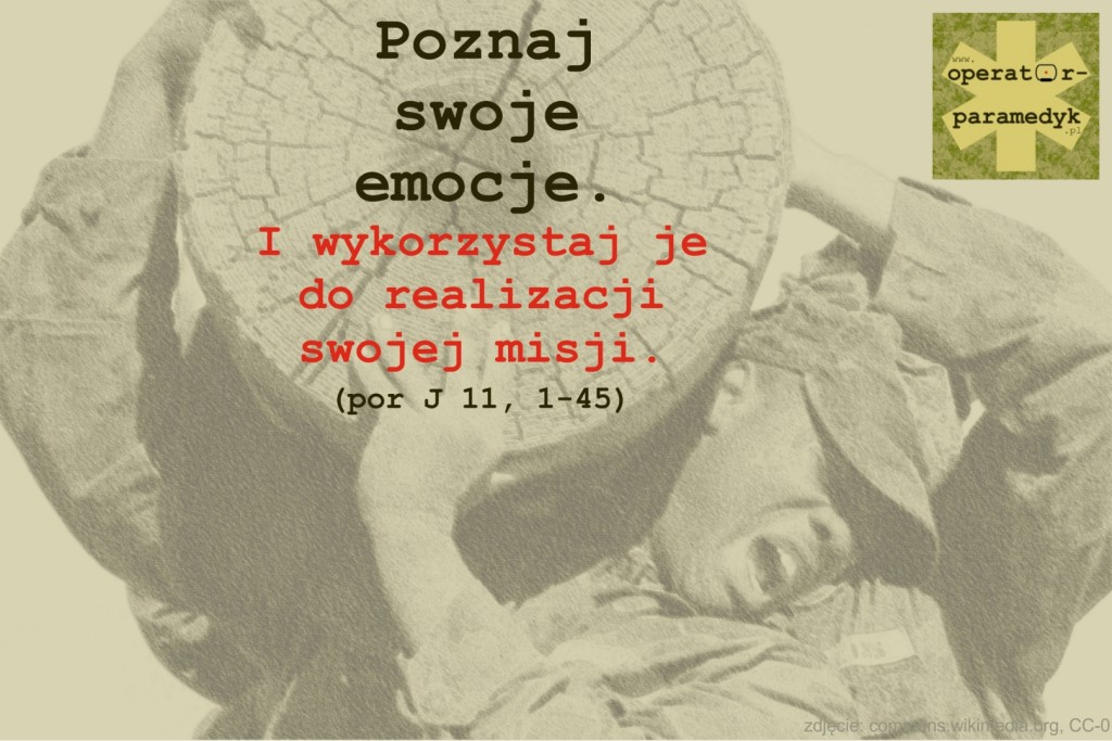 zdjęcie: commons.wikimedia.org, CC-0