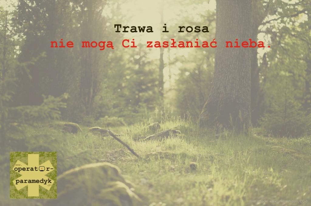 zdjęcie: unsplash.com, CC-0