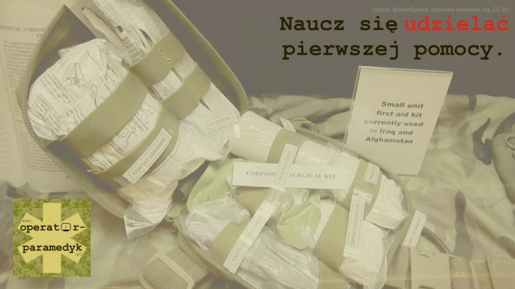 zdjęcie: BrokenSphere, commons.wikimedia.org, CC-BY