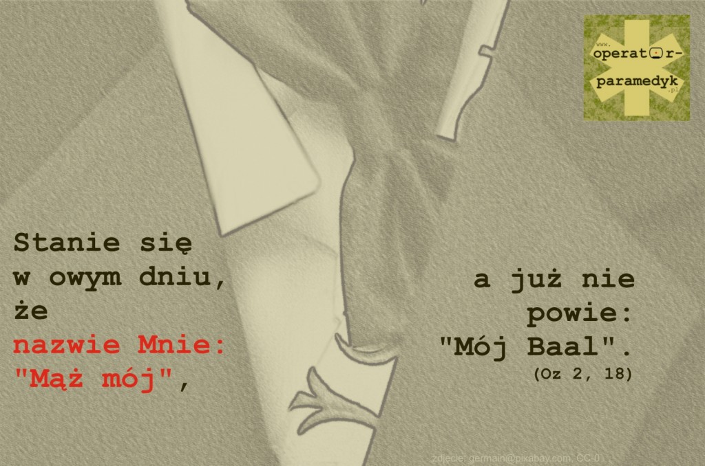 zdjęcie: germain@pixabay.com, CC-0