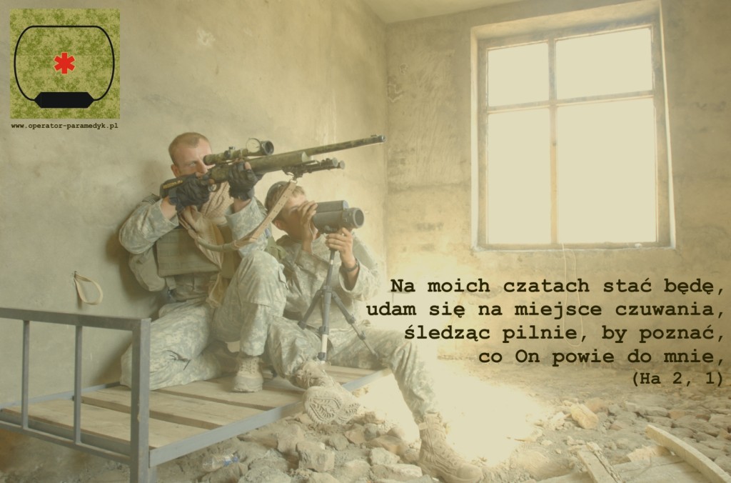 zdjęcie: jccc.afis.osd.mil, CC-0