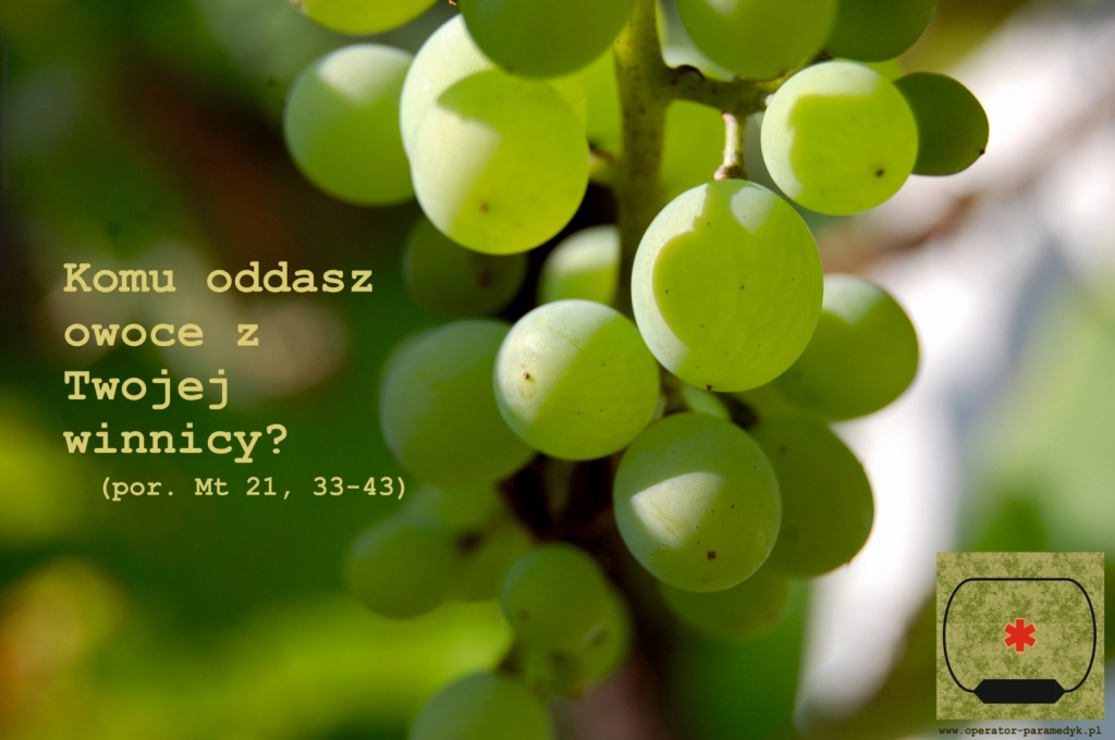 zdjęcie: Kuschti, commons.wikimedia.org, CC-0