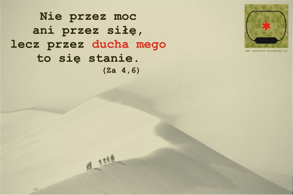 zdjęcie: unsplash.com, CC-0