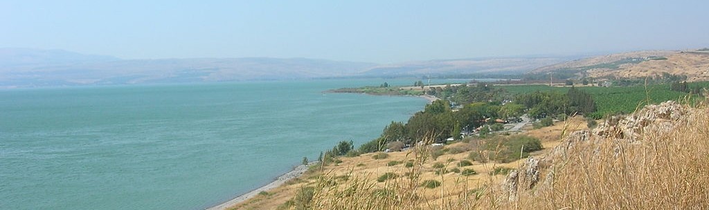 trawa nad Jeziorem Tyberiadzkim, EdoM@cmmons.wikimedia.com, CC-BY-SA