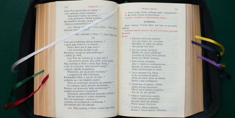 źródło: Magnus Manske@commons.wikimedia.org, CC-BS-SA