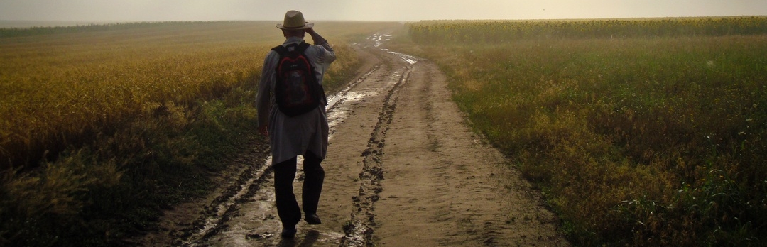 podróżny, którego możesz w dom przyjąć, zdjęcie: DavidMarcu@unsplash.com, CC-0.jpg